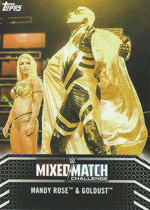 WWE Topps Women Division 2018 Trading Cards Mandy Rose and Goldust MM-5