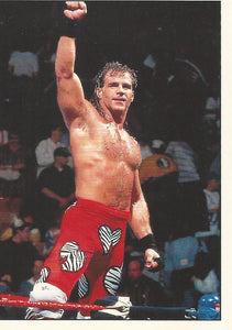 WWF Panini 1995 Sticker Collection Shawn Michaels No.60