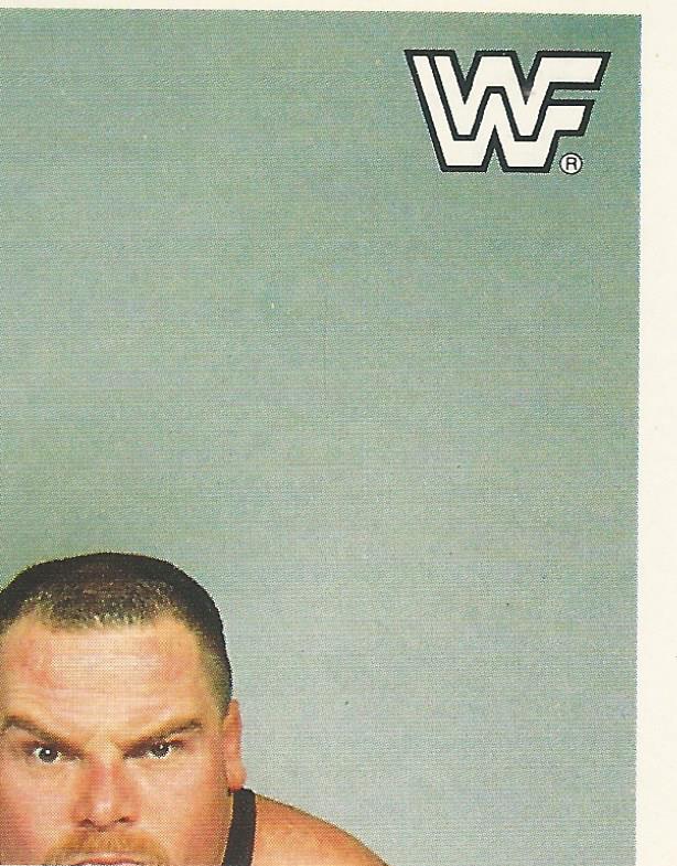 WWF Merlin Sticker Collection 1990 Hart Foundation No.61