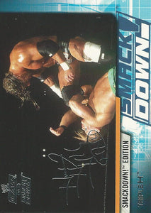 WWE Fleer Raw vs Smackdown Trading Card 2002 Triple H No.61