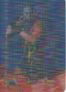 WWE Prominter Animotion Trading Cards 2005 Rob Van Dam No.61