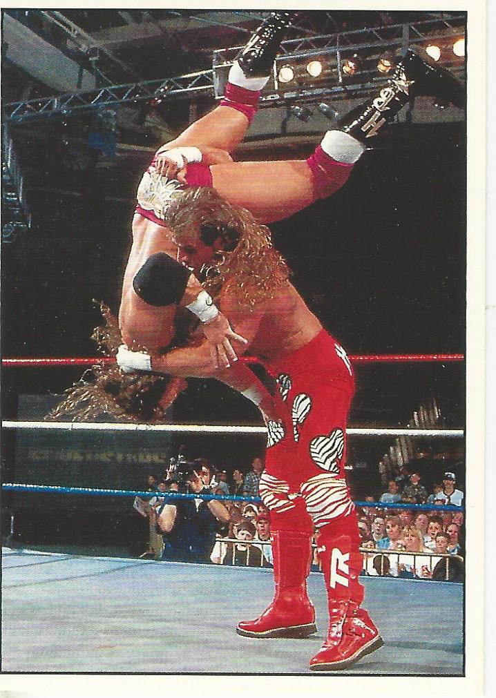 WWF Panini 1995 Sticker Collection Shawn Michaels No.61