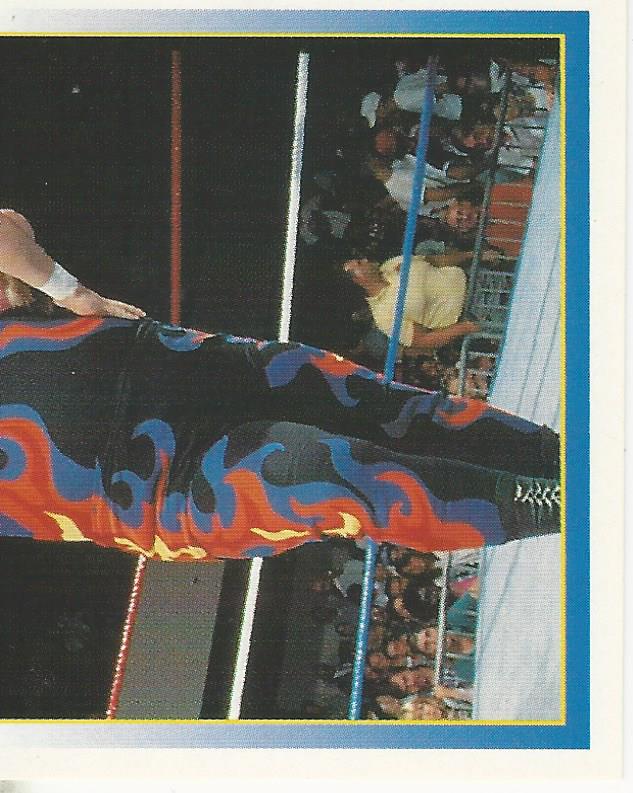 WWF Merlin Stickers 1995 Bam Bam Bigelow No.61