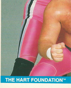 WWF Merlin Sticker Collection 1990 Hart Foundation No.62