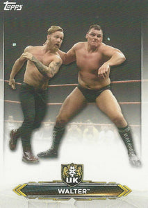 WWE Topps NXT 2020 Trading Cards Walter No.63