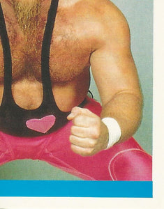 WWF Merlin Sticker Collection 1990 Hart Foundation No.63