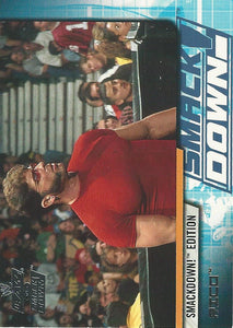 WWE Fleer Raw vs Smackdown Trading Card 2002 Rico No.65