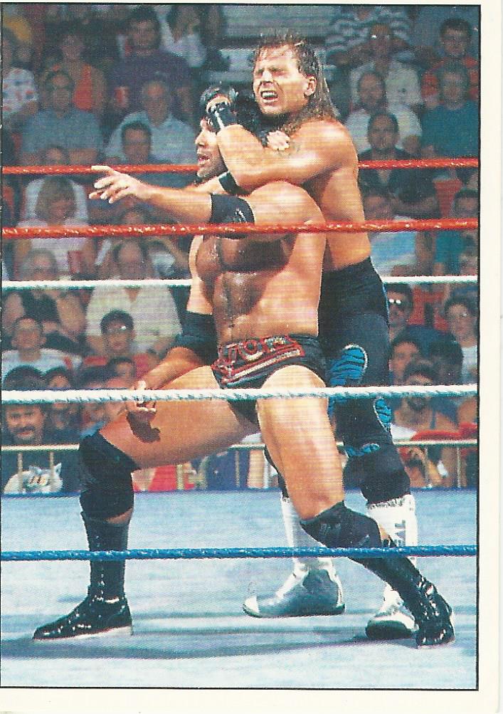 WWF Panini 1995 Sticker Collection Shawn Michaels No.65