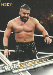 WWE Topps Then Now Forever 2017 Trading Card Andrade No.166