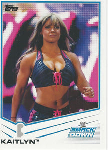 WWE Topps 2013 Trading Cards Kaitlyn No.66
