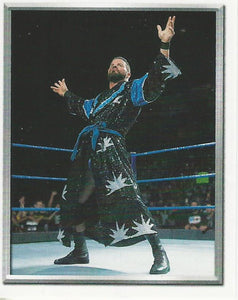 WWE Topps 2018 Stickers Robert Roode No.67