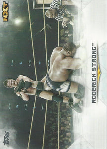 WWE Topps Undisputed 2020 Trading Card Roderick Strong No.69