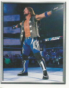 WWE Topps 2018 Stickers AJ Styles No.6