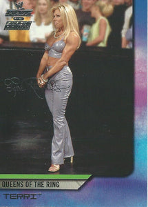 WWE Fleer Raw vs Smackdown Trading Card 2002 Terri Runnels No.70