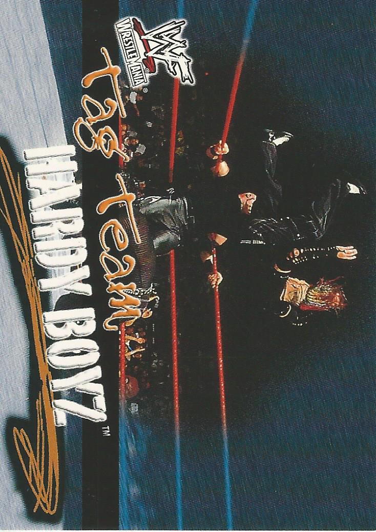 WWF Fleer Wrestlemania 2001 Trading Cards The Hardy Boyz No.72