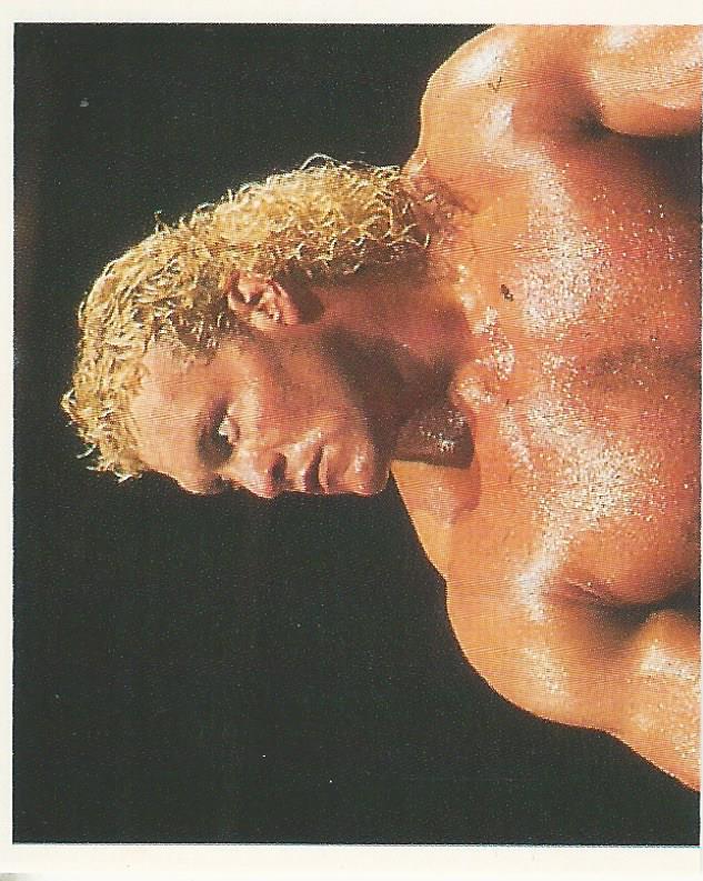 WWF Merlin Stickers 1991 Sid Justice No.75