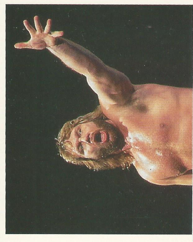 WWF Merlin Stickers 1992 Hacksaw Jim Duggan No.75