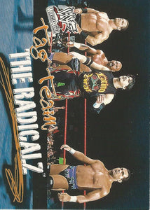 WWF Fleer Wrestlemania 2001 Trading Cards Radicalz No.76