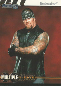 WWE Fleer Wrestlemania XIX Trading Cards 2003 Undertaker No.76