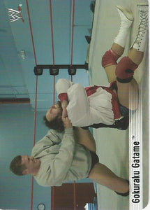 WWE Smackdown Tesla 2004 Trading Cards William Regal No.76