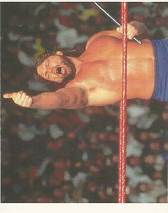 WWF Merlin Stickers 1992 Hacksaw Jim Duggan No.77