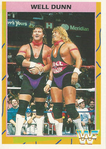 WWF Merlin Trading Card 1995 Well Dunn No.78