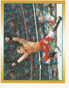 WWF Merlin Stickers 1995 Shawn Michaels No.79