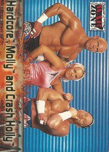 WWF Fleer Raw 2001 Trading Cards Hardcore Crash and Molly Holly No.79