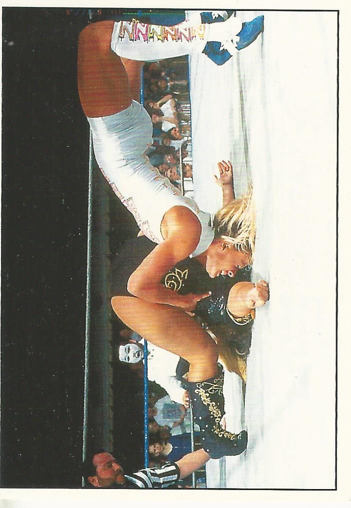 WWF Panini 1995 Sticker Collection Alundra Blayze No.80