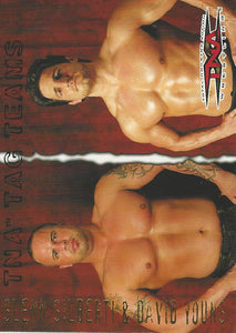 TNA Pacific Trading Cards 2004 Glen Gilberti and David Young Tag Team No.7