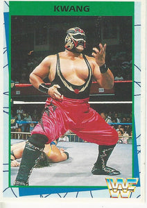 WWF Merlin Trading Card 1995 Kwang No.83