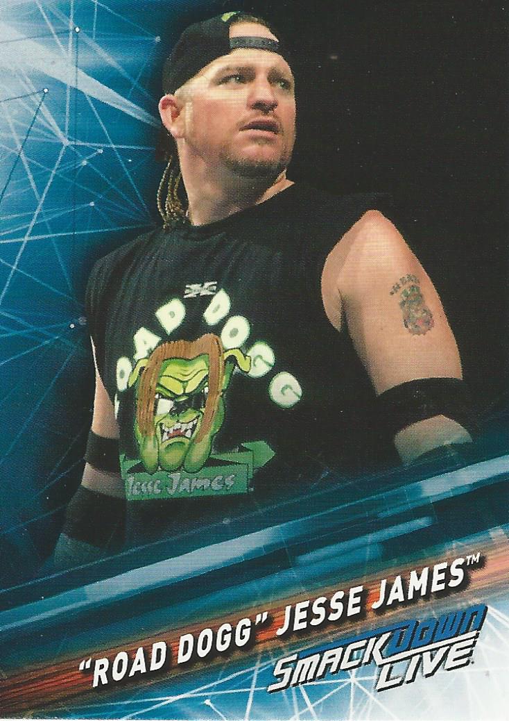 WWE Topps Smackdown 2019 Trading Cards Road Dogg No.84