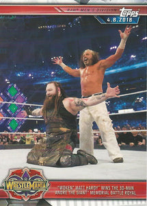 WWE Topps Champions 2019 Trading Cards Matt Hardy and Bray Wyatt No.34