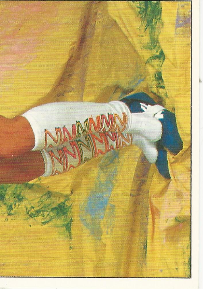 WWF Panini 1995 Sticker Collection Alundra Blayze No.85