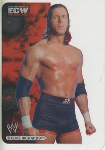 WWE Edibas Lamincards 2006 Stevie Richards No.86