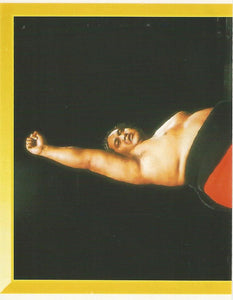 WWF Merlin Sticker Collection 1994 Yokozuna No.86