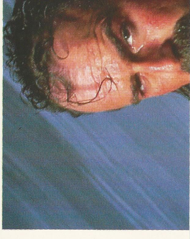 WWF Merlin Stickers 1991 Jake the Snake Roberts No.86