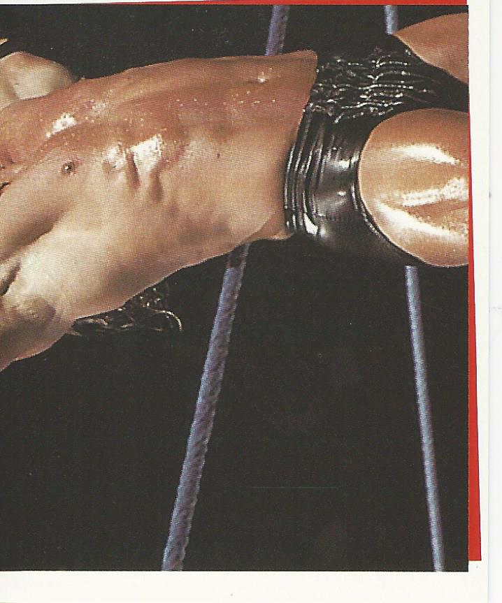 WWF Smackdown Stickers 2000 Triple H No.89