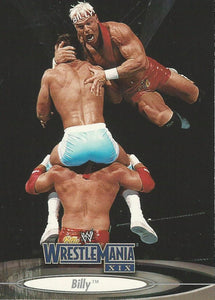WWE Fleer Wrestlemania XIX Trading Cards Billy Gunn No.8