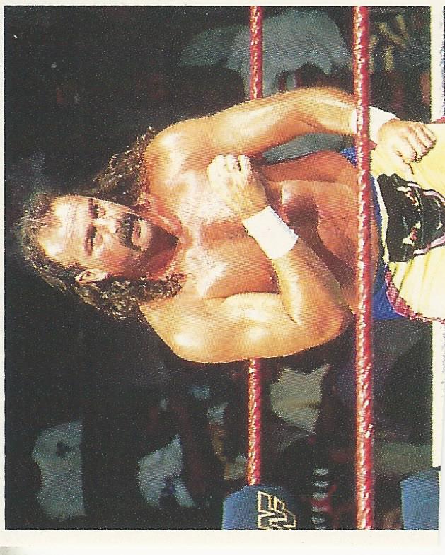 WWF Merlin Stickers 1991 Jake the Snake Roberts No.93