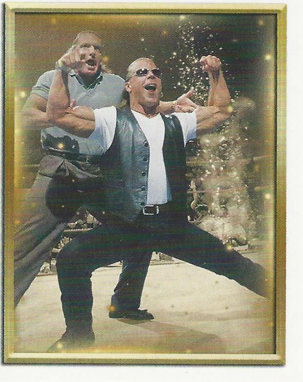 WWE Topps 2018 Stickers Shawn Michaels and HHH DX No.94