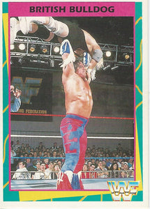 WWF Merlin Trading Card 1995 British Bulldog No.95