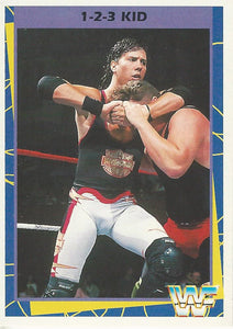 WWF Merlin Trading Card 1995 1-2-3 Kid No.96