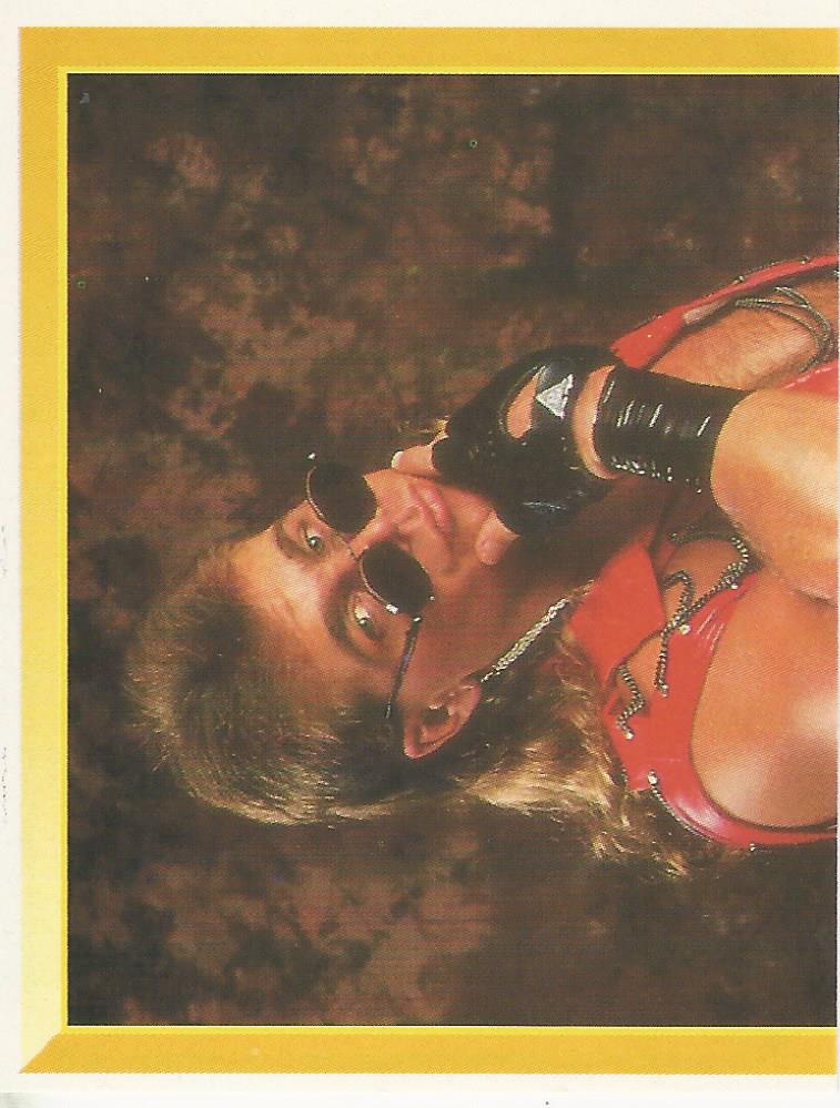 WWF Merlin Sticker Collection 1994 Shawn Michaels No.96