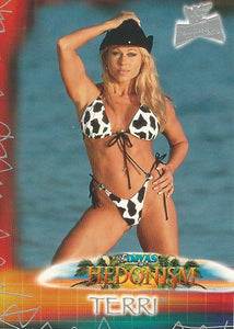 WWF Fleer Ultimate Diva Trading Cards 2001 Terri Runnels No.97