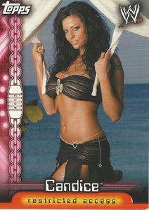WWE Topps Insider 2006 Trading Card Candice Michelle D1