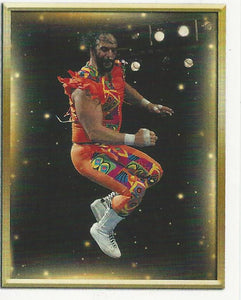 WWE Topps 2018 Stickers Macho Man Randy Savage No.98