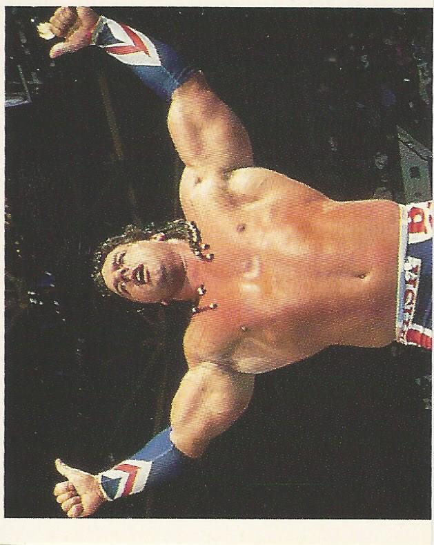 WWF Merlin Stickers 1991 British Bulldog No.99