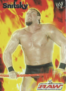 WWE Smackdown Tesla 2004 Trading Cards Snitsky No.9