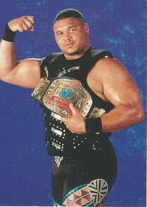 WWF Superstarz 1998 Trading Card D-Lo Brown No.9